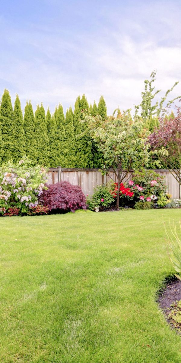 landscaping