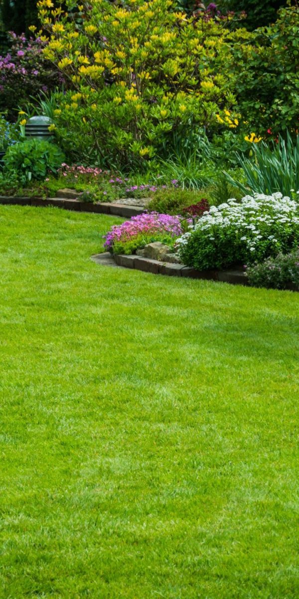 landscaping2